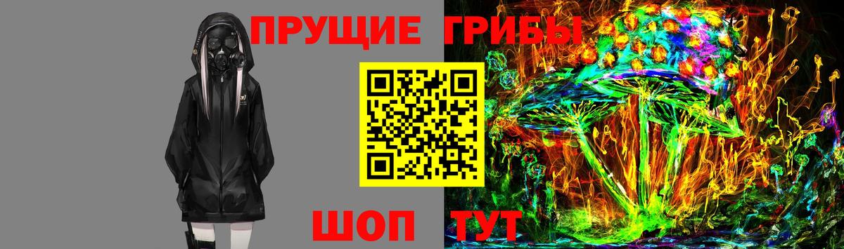 Псилоцибиновые грибы MAGIC MUSHROOMS  Вход с VPN  Кстово 