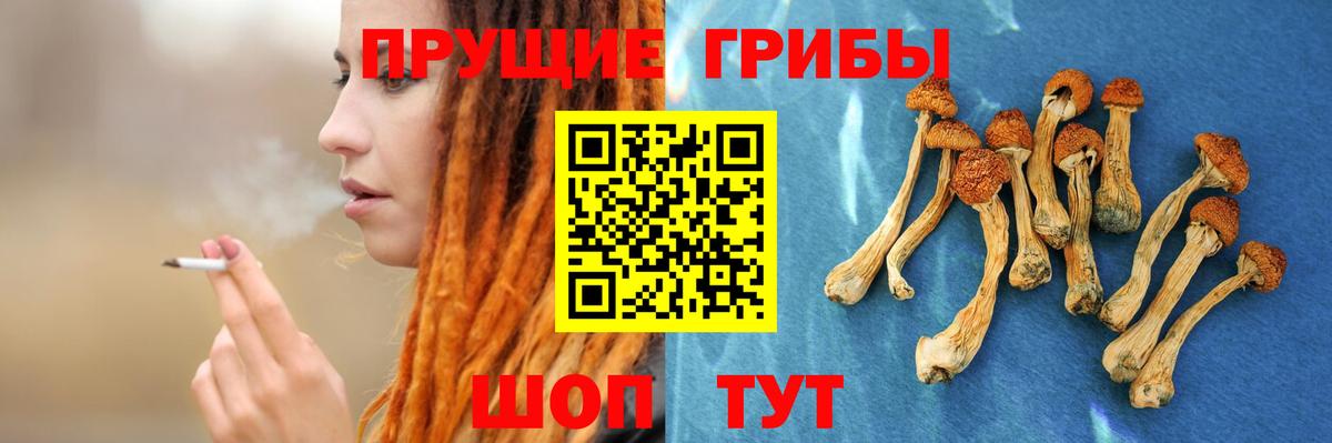 Псилоцибиновые грибы MAGIC MUSHROOMS Кстово